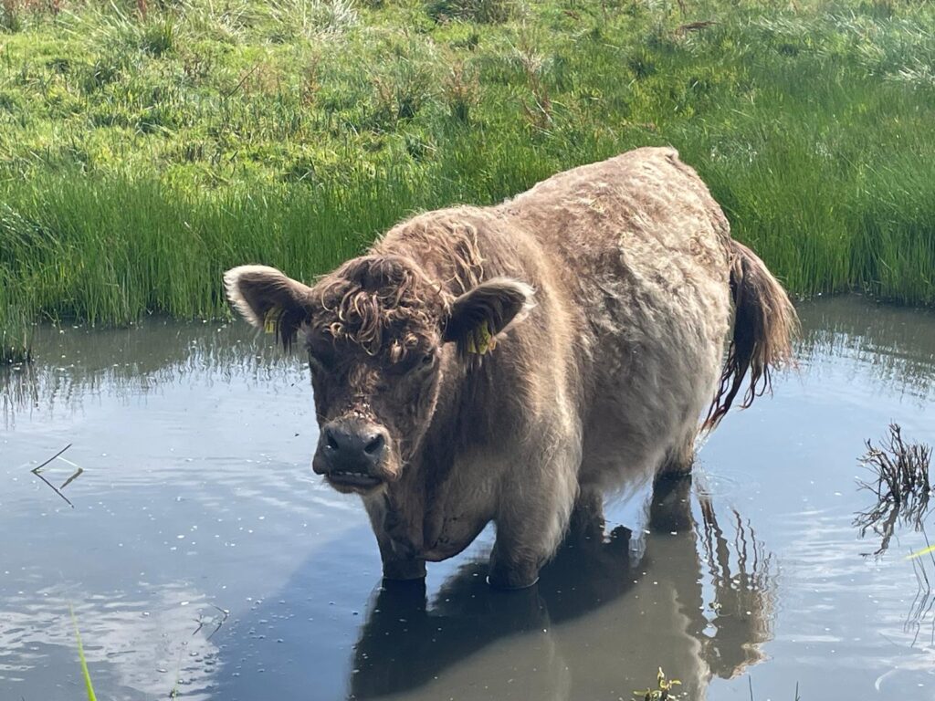 Natürliche Umgebung